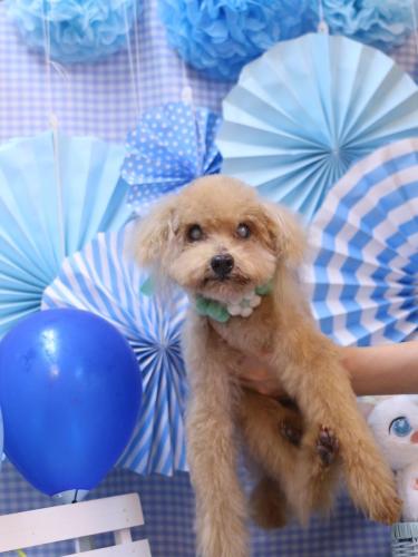 20231126モカくん